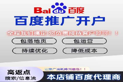 深入解析SEM竞价托管的成功案例